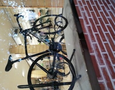 Bunny bike shop