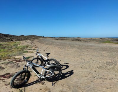 EBike-Vermietung-Electric Wheels