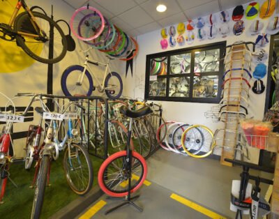 Ciclo XXI