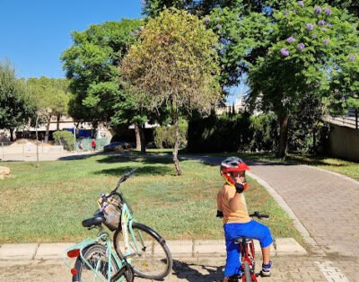 Citybikes