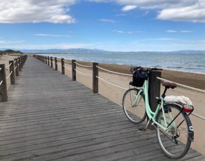 Alquiler de bicicletas DTS