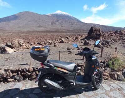 Panda Moto