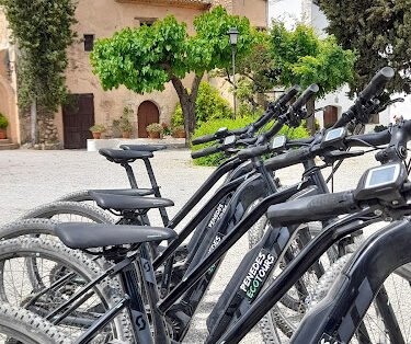 Penedès Ecotours: Wine Tours, Bike Tours & Bike Rental
