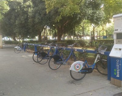 Bicipalma 01