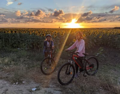 Mountain E-BikE Rental