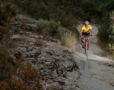 CicloTurisme Tours
