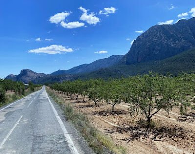 Murcia Bike Hire (Carbon Road Bike Hire) Delivery & Collection Only!