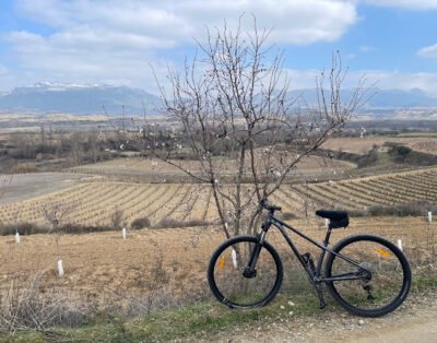 Oja Sport
