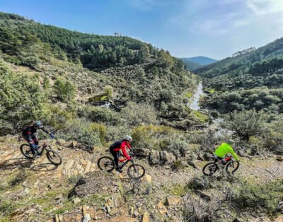 Bikes At Forest. Rutas y alquiler de bicicletas