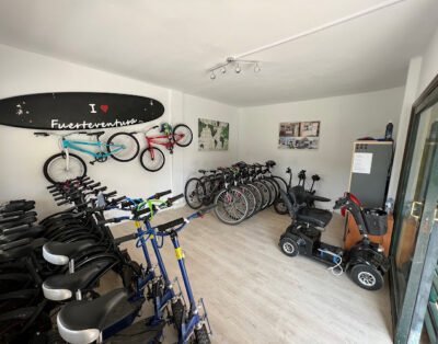 Monkey rent a bike
