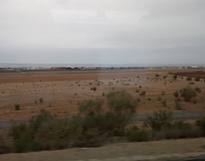 50197 Zaragoza