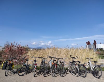 GUIARTU ALQUILER DE BICIS