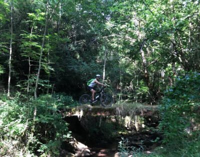 Verdebike
